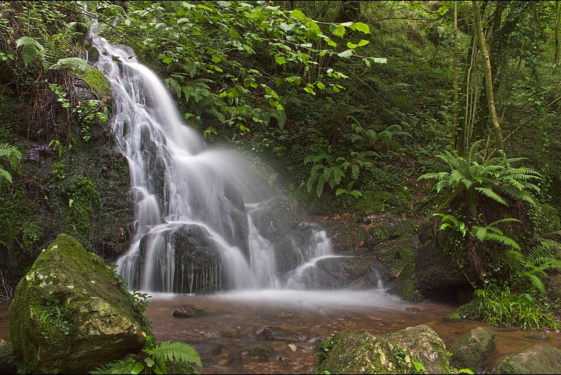 Cascada